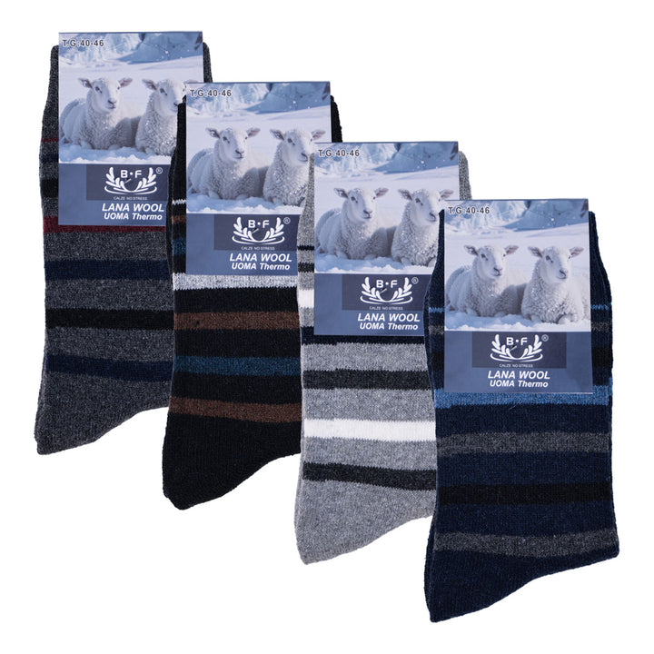 4 Pari B.FORTUNA Arctic Line volnene moške nogavice
