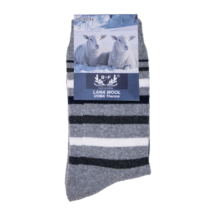 B.FORTUNA moške volnene nogavice Arctic Line - siva